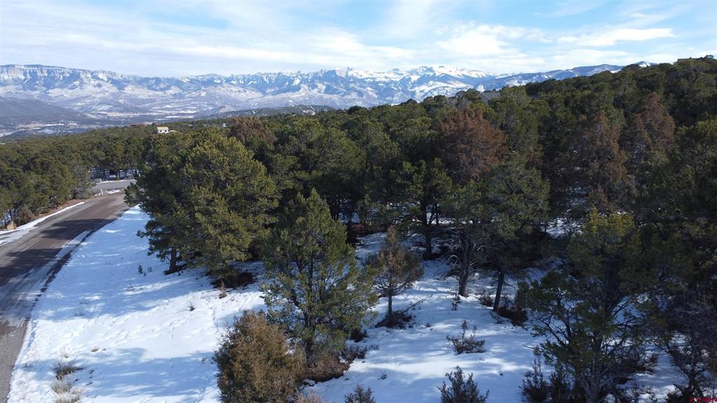 30 Pinon Road W Ridgway CO 81432
