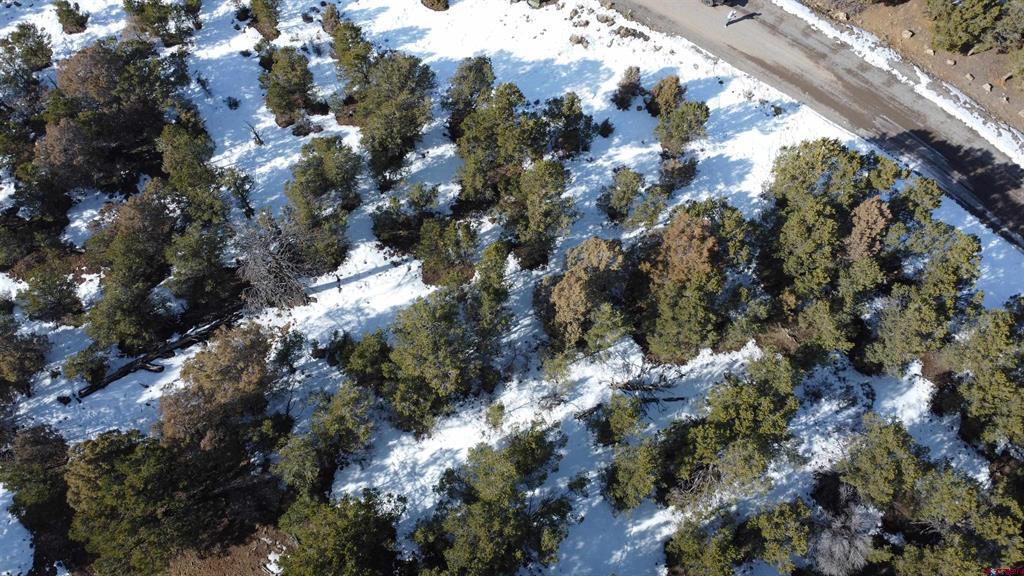 30 Pinon Road W Ridgway CO 81432