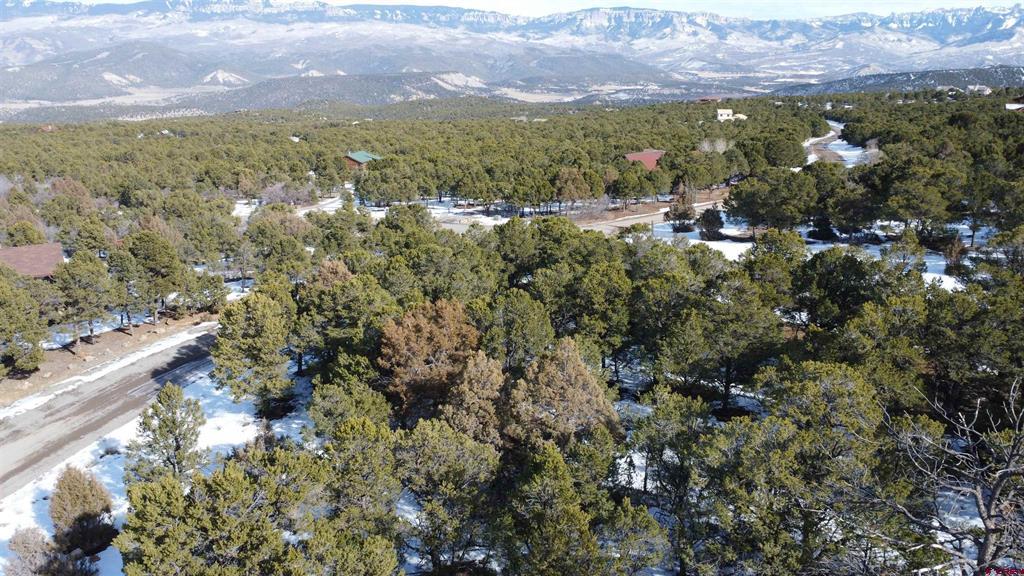 30 Pinon Road W Ridgway CO 81432