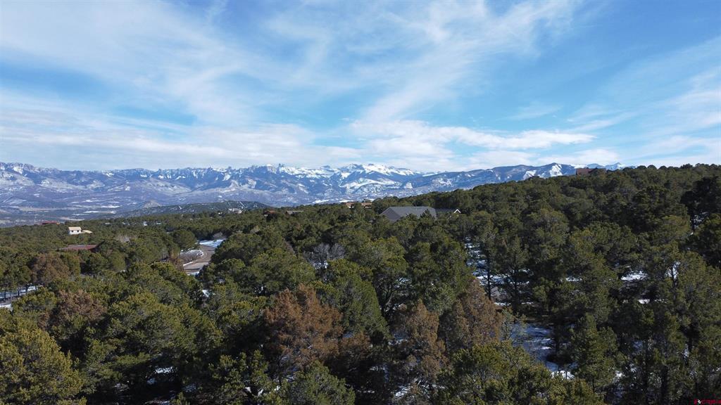 30 Pinon Road W Ridgway CO 81432