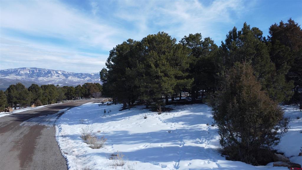 30 Pinon Road W Ridgway CO 81432