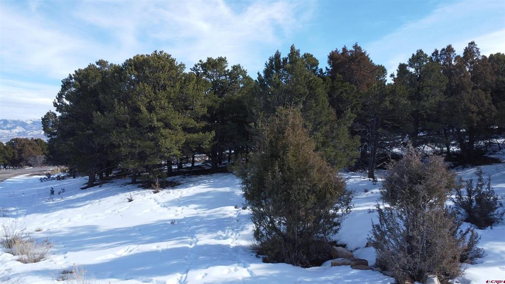 30 Pinon Road W Ridgway CO 81432