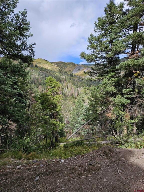 3000 County Road 14 Ouray CO 81427