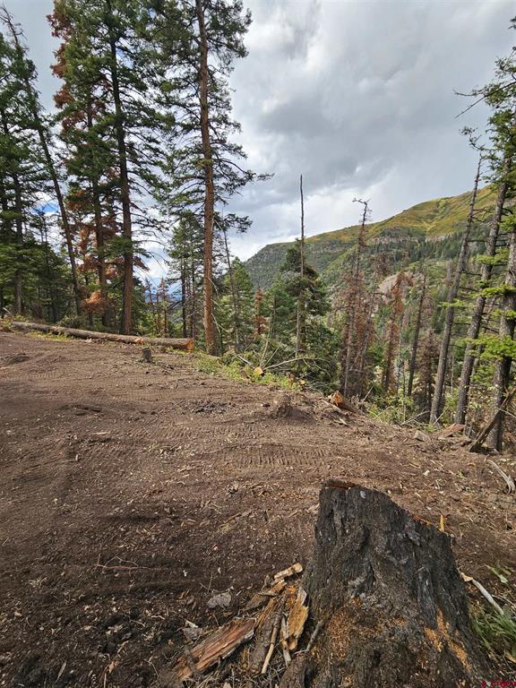 3000 County Road 14 Ouray CO 81427
