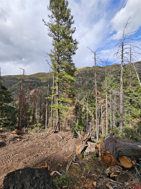 3000 County Road 14 Ouray CO 81427
