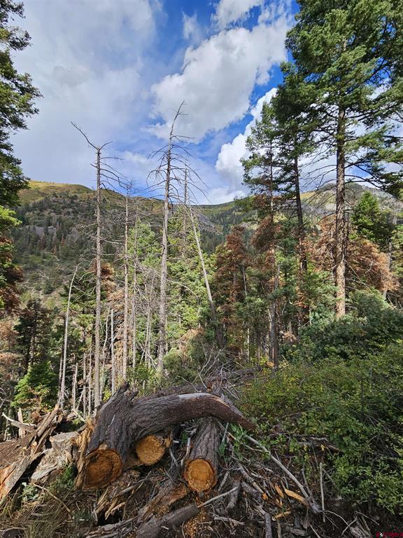 3000 County Road 14 Ouray CO 81427