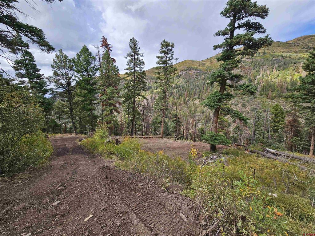 3000 County Road 14 Ouray CO 81427