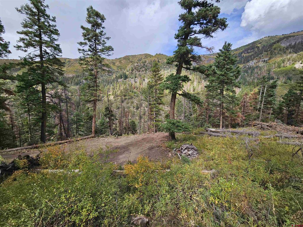 3000 County Road 14 Ouray CO 81427