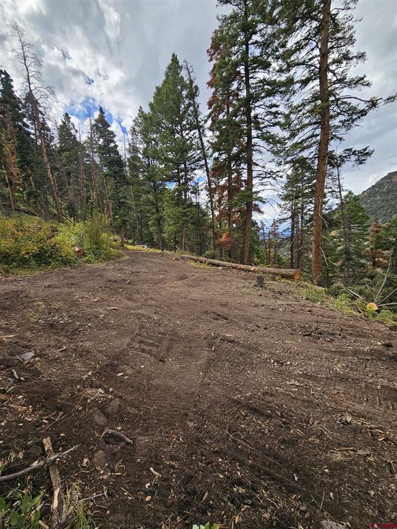 3000 County Road 14 Ouray CO 81427