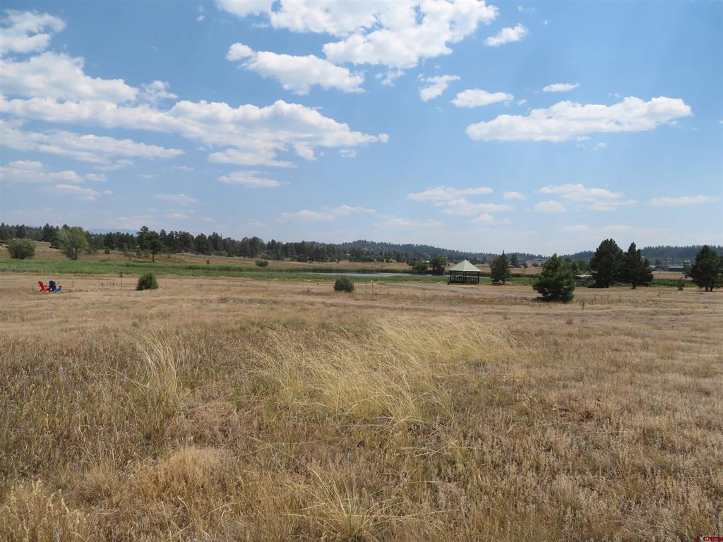 Pagosa Springs CO, 176 Port Avenue