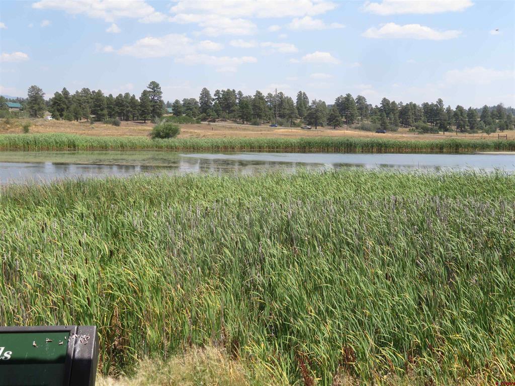 176 Port Avenue Pagosa Springs CO 81147