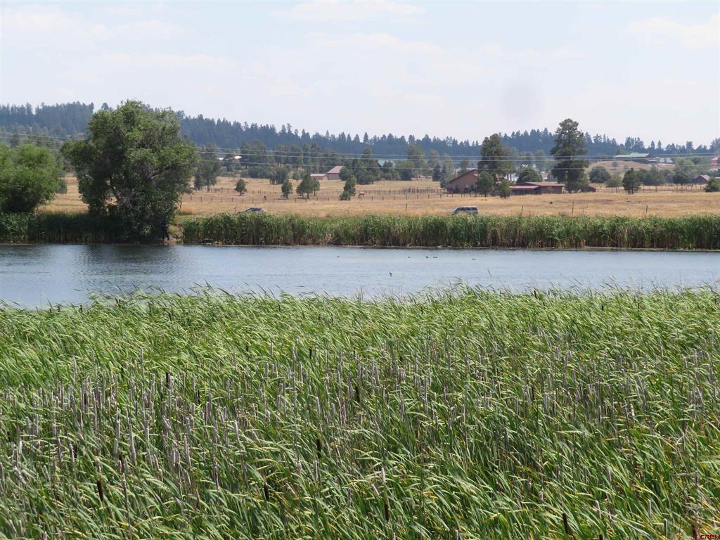 176 Port Avenue Pagosa Springs CO 81147