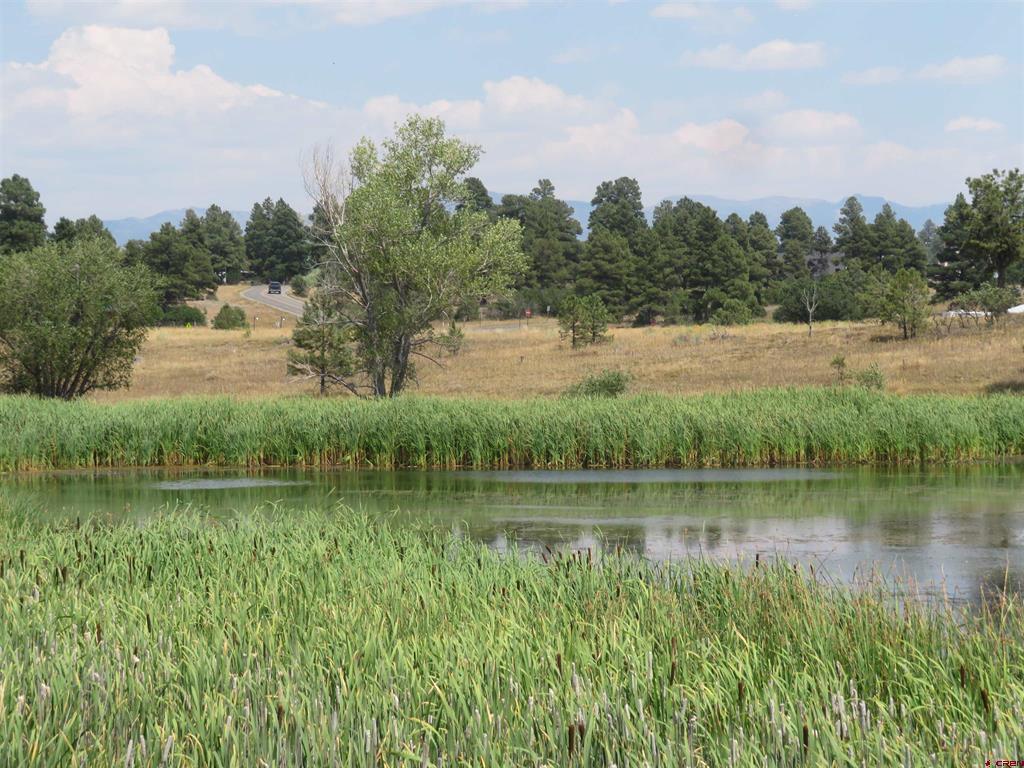 176 Port Avenue Pagosa Springs CO 81147