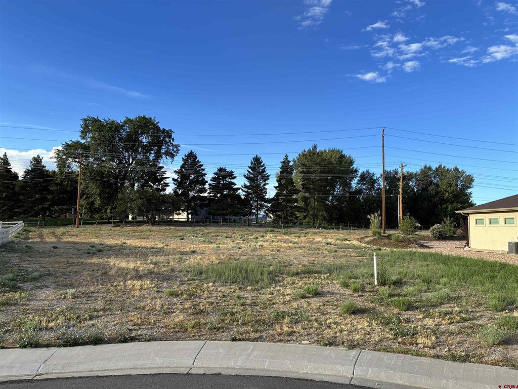 Tbd Keller Court Montrose CO 81401