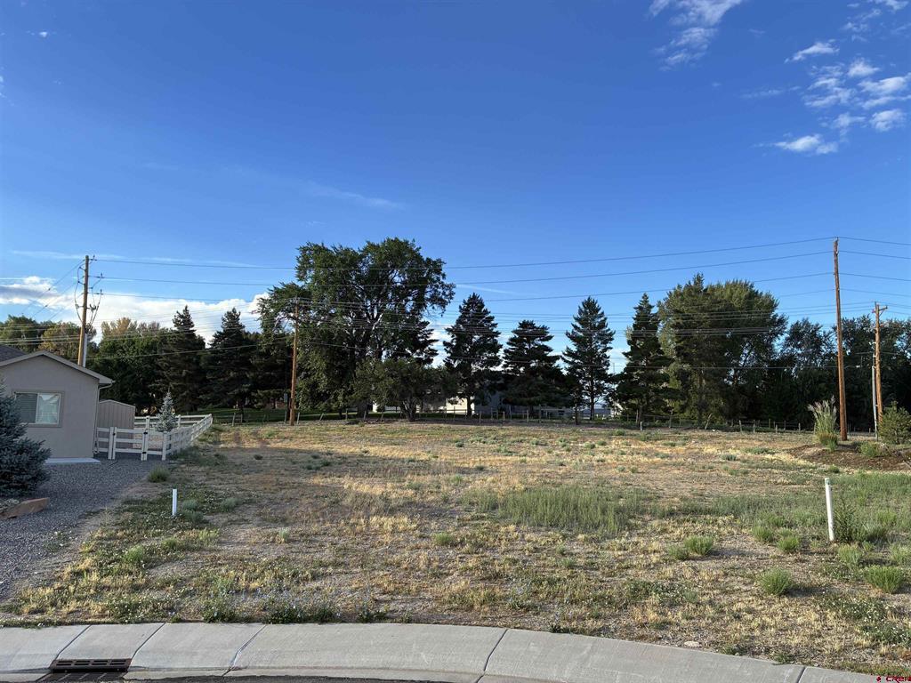 Tbd Keller Court Montrose CO 81401