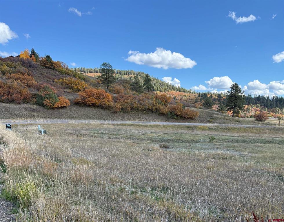 232 Santino Place Pagosa Springs CO 81147