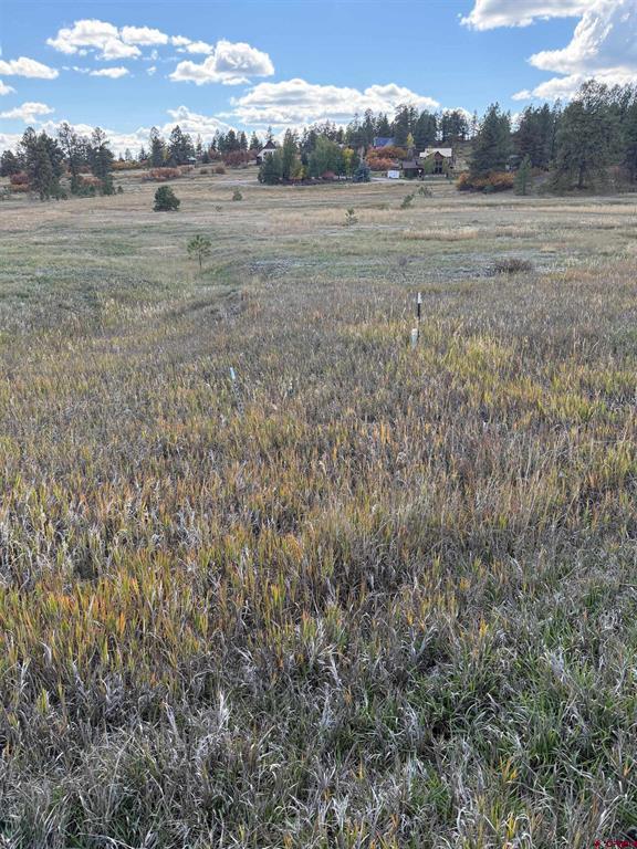 232 Santino Place Pagosa Springs CO 81147
