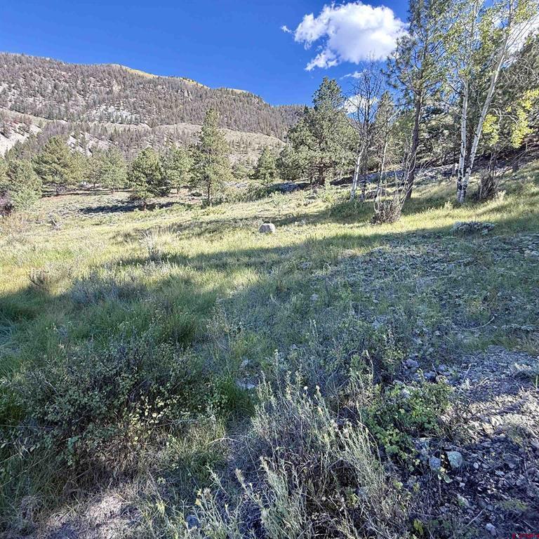 502 Hotchkiss Street Lake City CO 81235