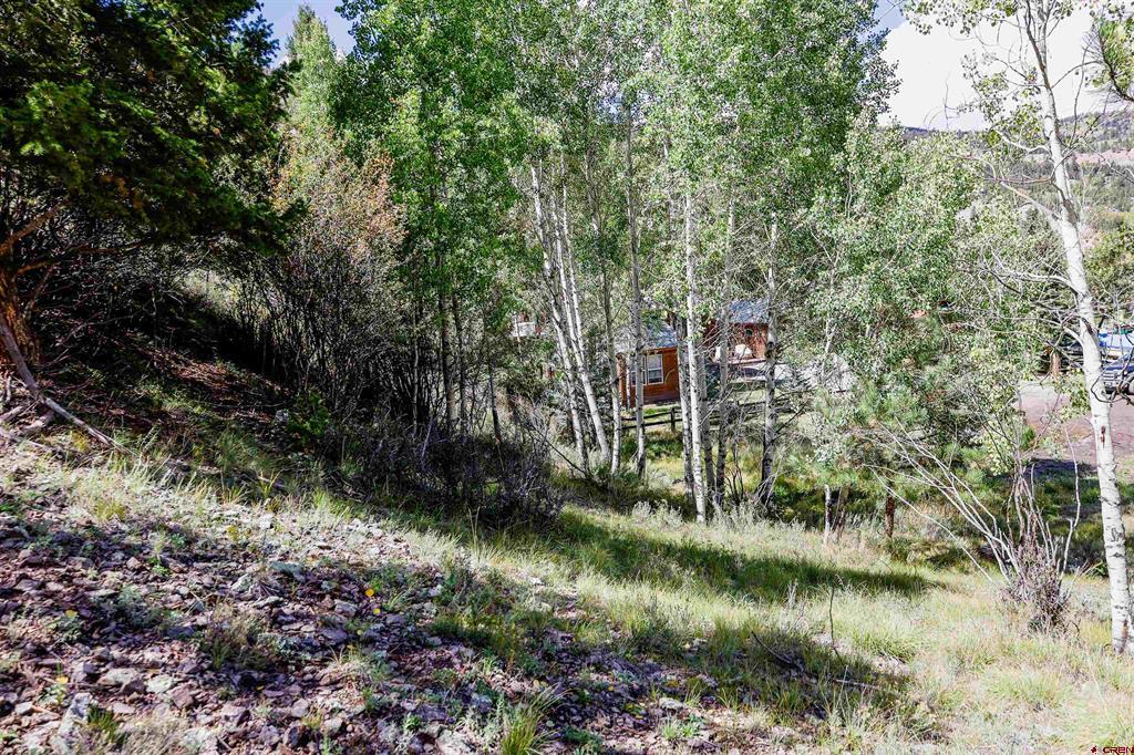 502 Hotchkiss Street Lake City CO 81235