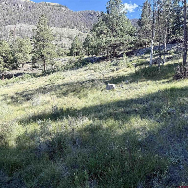 502 Hotchkiss Street Lake City CO 81235