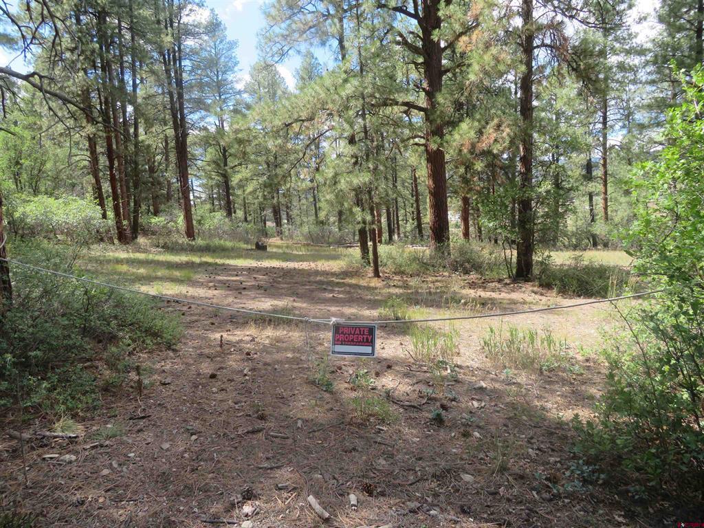 706 Hilltop Drive Pagosa Springs CO 81147
