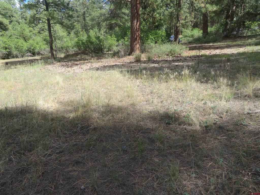 706 Hilltop Drive Pagosa Springs CO 81147