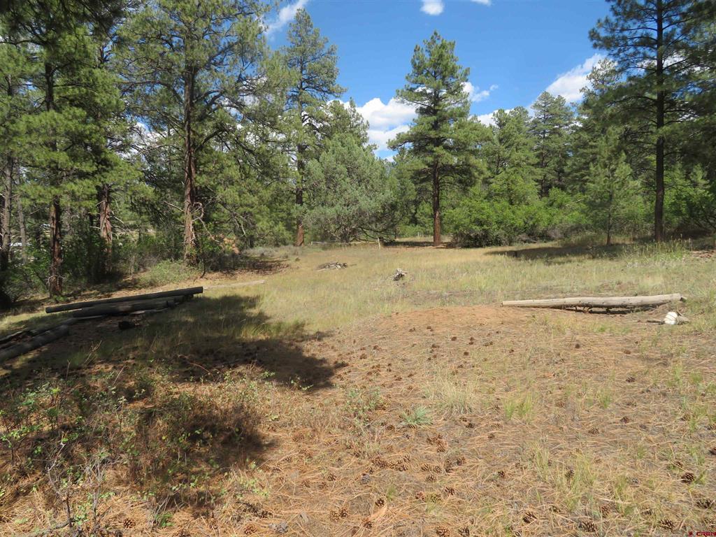 706 Hilltop Drive Pagosa Springs CO 81147