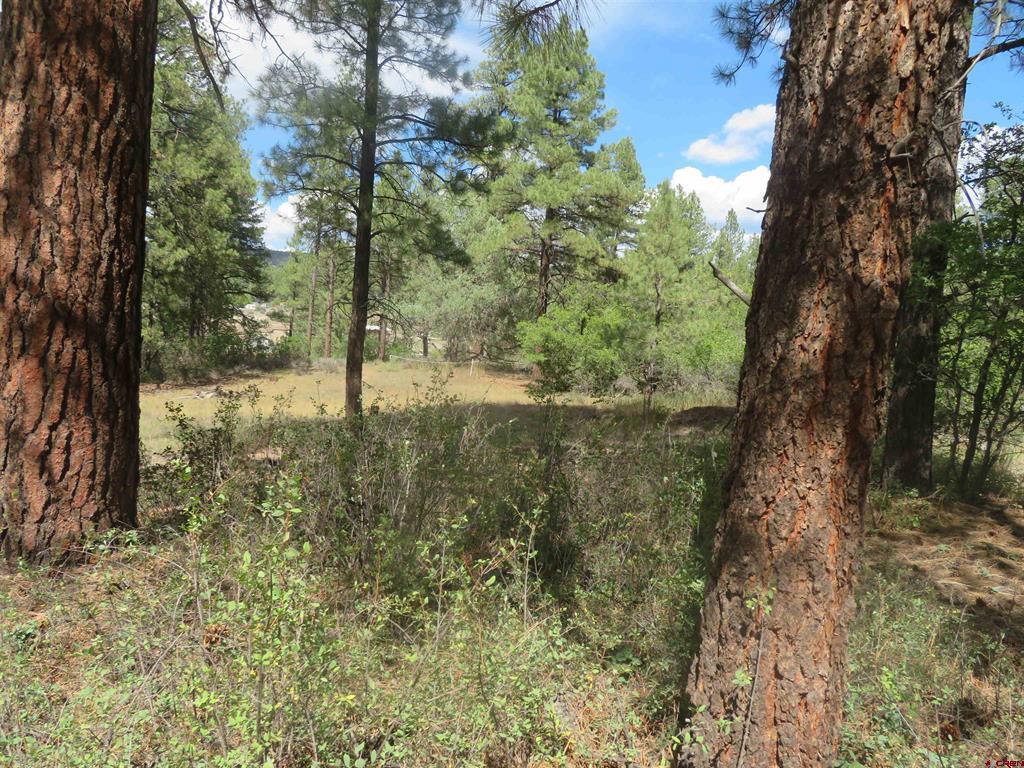 706 Hilltop Drive Pagosa Springs CO 81147