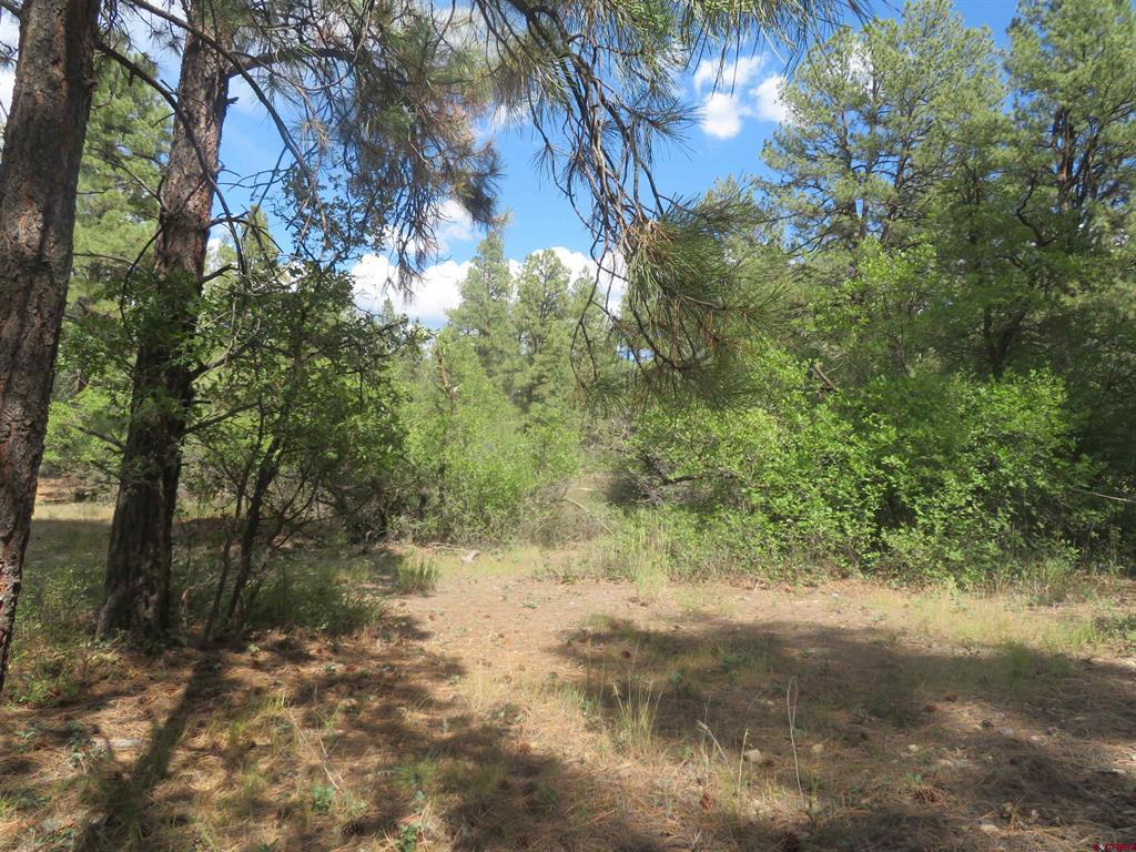 706 Hilltop Drive Pagosa Springs CO 81147