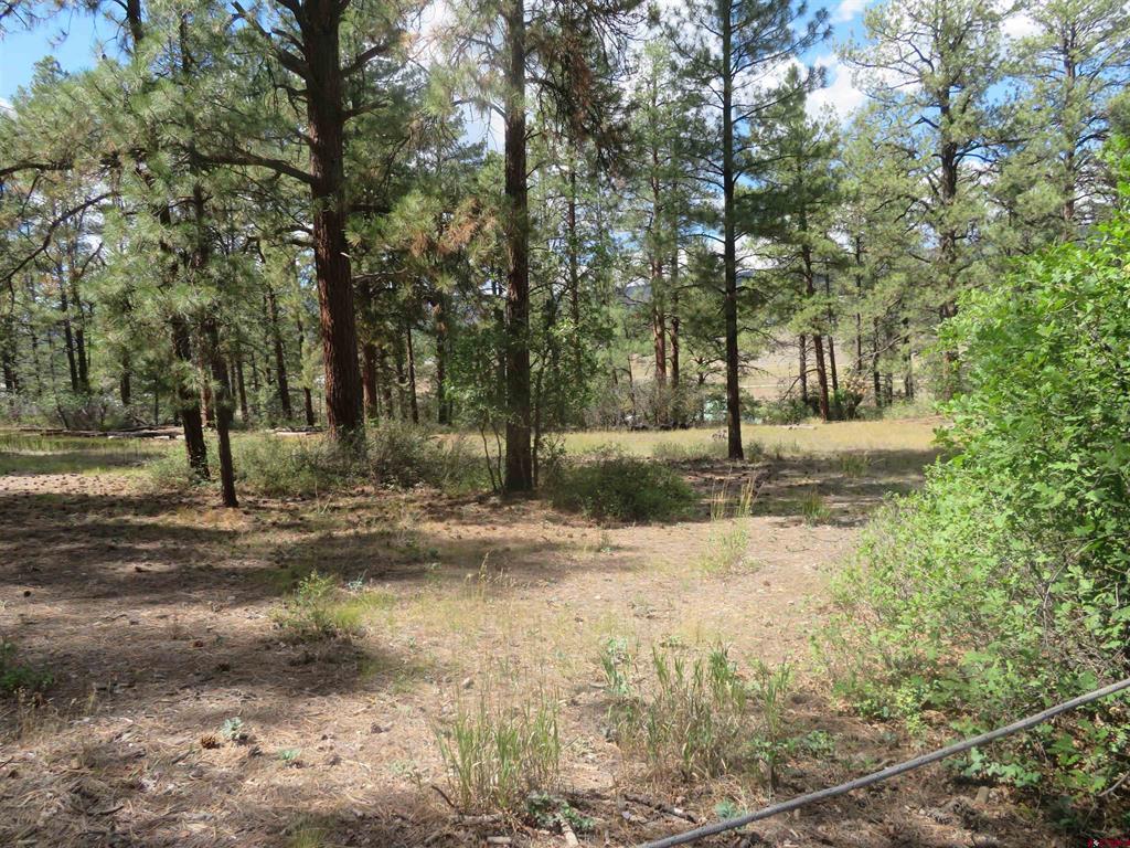 706 Hilltop Drive Pagosa Springs CO 81147
