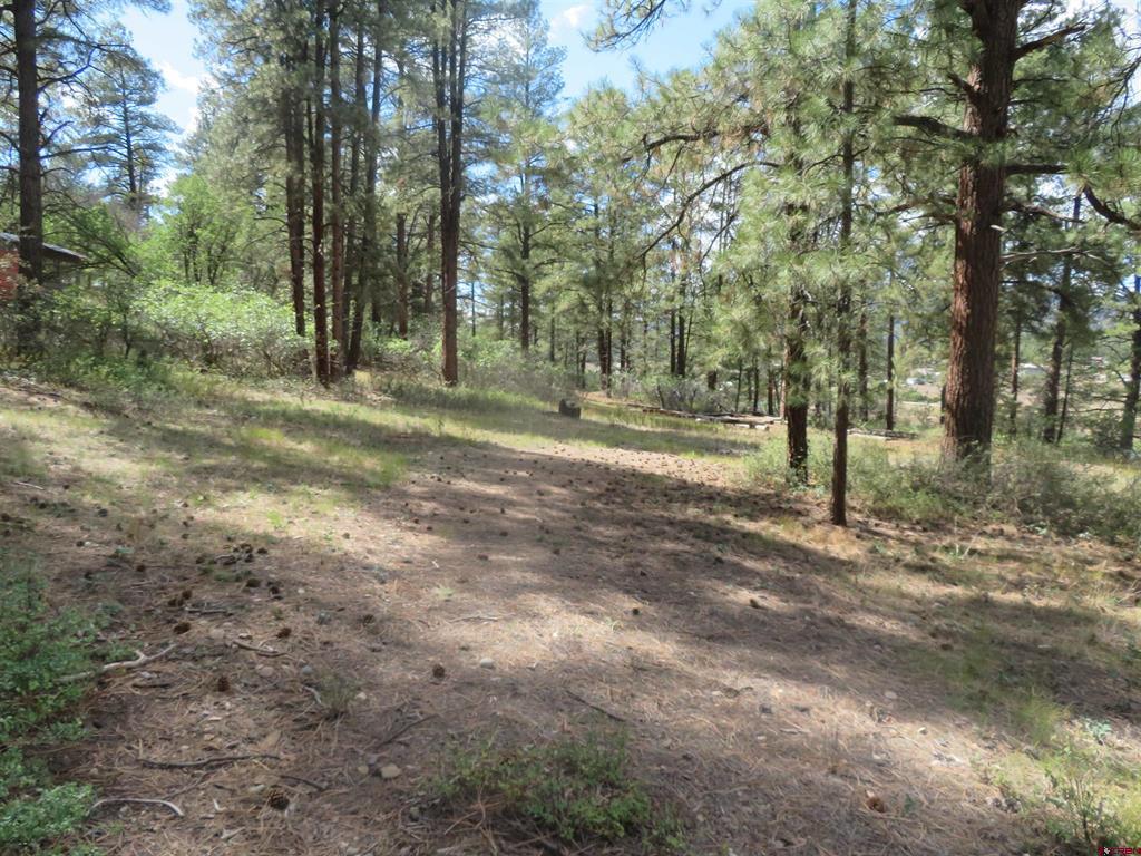 706 Hilltop Drive Pagosa Springs CO 81147