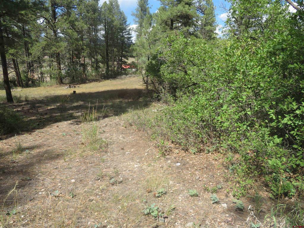 706 Hilltop Drive Pagosa Springs CO 81147