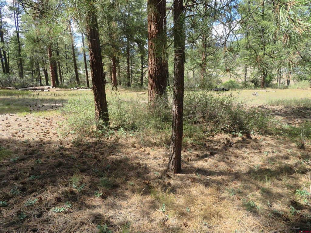 706 Hilltop Drive Pagosa Springs CO 81147