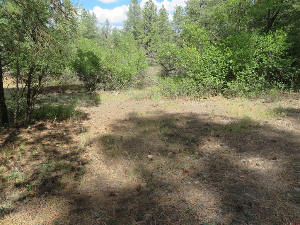 706 Hilltop Drive Pagosa Springs CO 81147