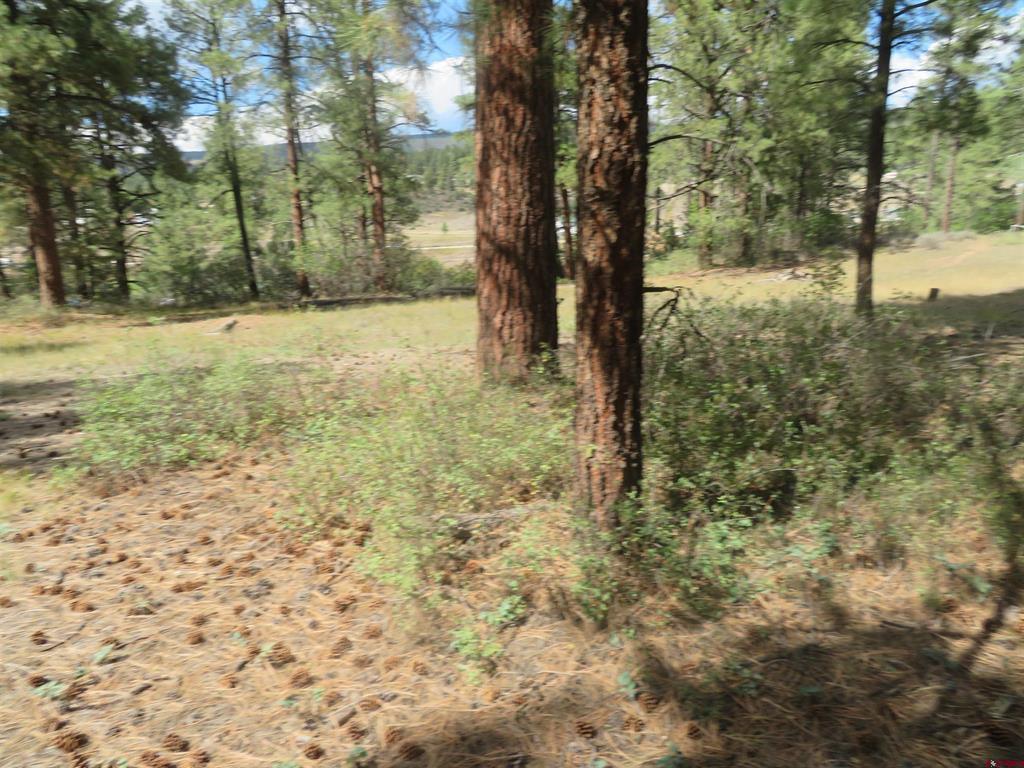 706 Hilltop Drive Pagosa Springs CO 81147