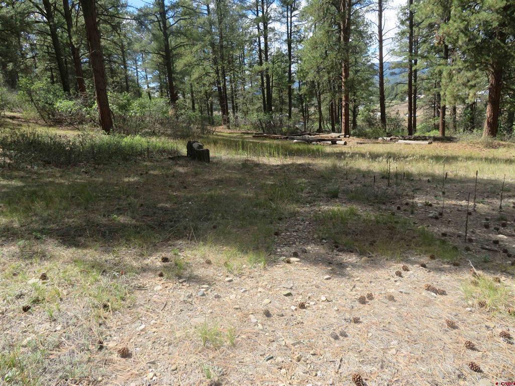 706 Hilltop Drive Pagosa Springs CO 81147