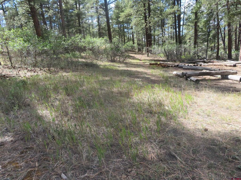 706 Hilltop Drive Pagosa Springs CO 81147