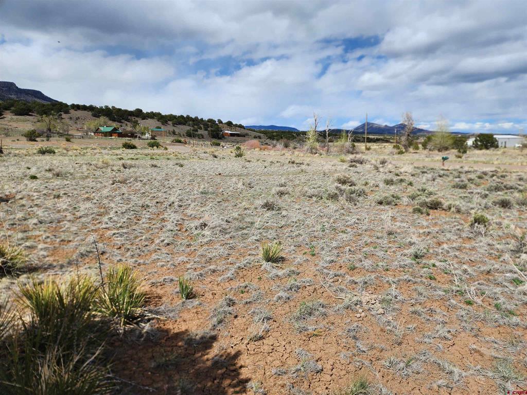 1289 Mohee Road South Fork CO 81154