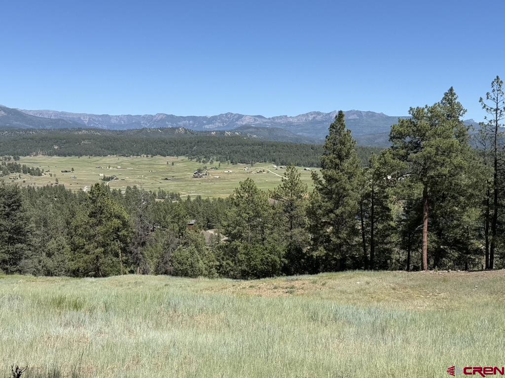 Pagosa Springs CO, Alder