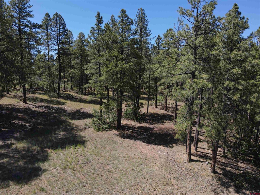 Alder Place Pagosa Springs CO 81147