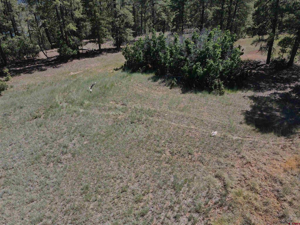 Alder Place Pagosa Springs CO 81147