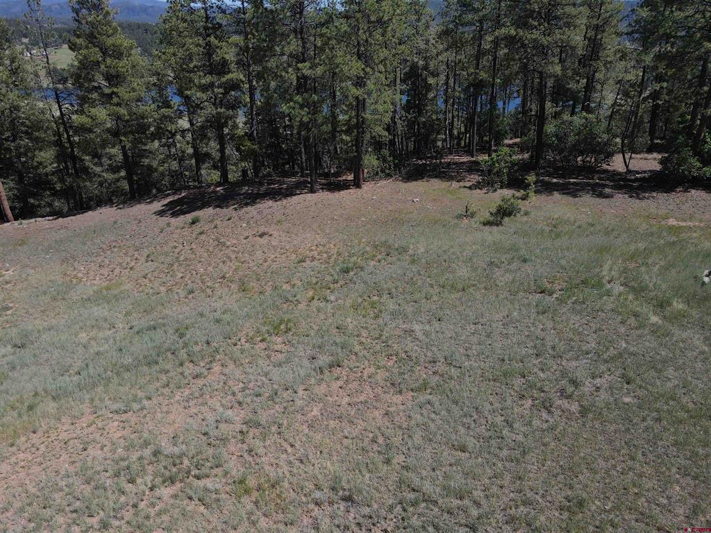 Alder Place Pagosa Springs CO 81147