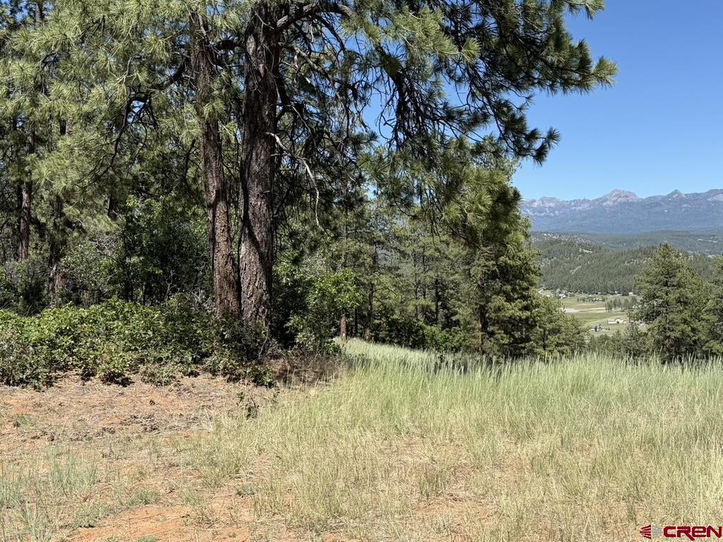 Alder Place Pagosa Springs CO 81147