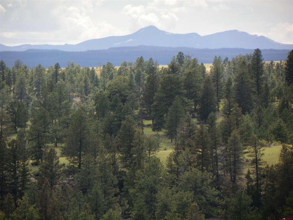 Tbd County Road 38-ff Saguache CO 81149