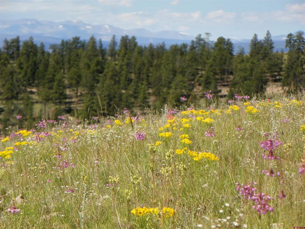 Tbd County Road 38-ff Saguache CO 81149