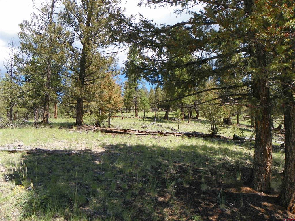 Tbd County Road 38-ff Saguache CO 81149