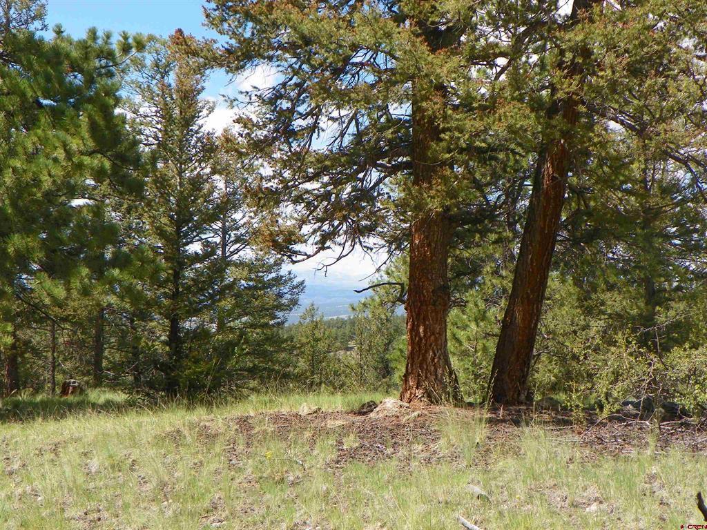 Tbd County Road 38-ff Saguache CO 81149