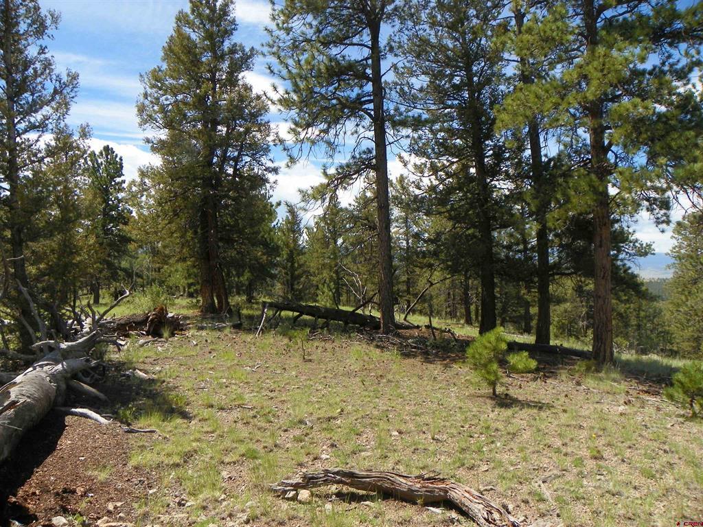 Tbd County Road 38-ff Saguache CO 81149