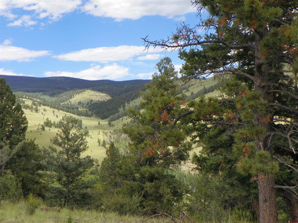 Tbd County Road 38-ff Saguache CO 81149
