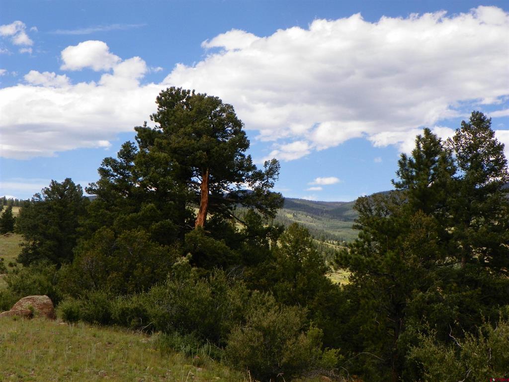 Tbd County Road 38-ff Saguache CO 81149